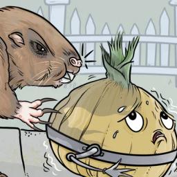 Search result for Onions & Gophers