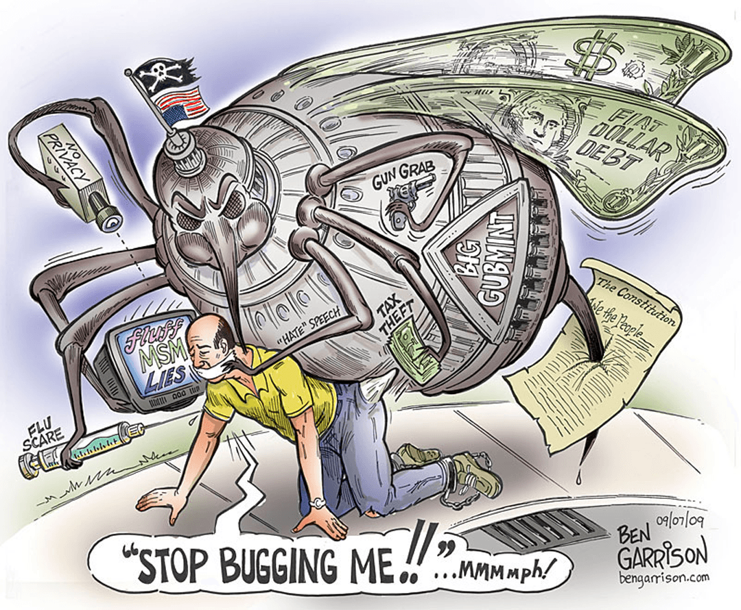 Big Government Bug image number 0