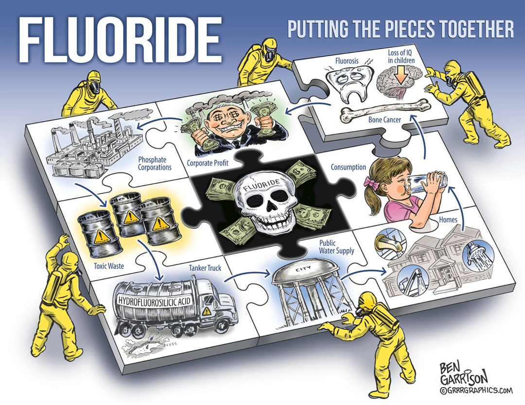 Fluoride Puzzle image number 0