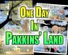 A tiny thumbnail of the cover art for the comics series One Day In Pakkins' Land