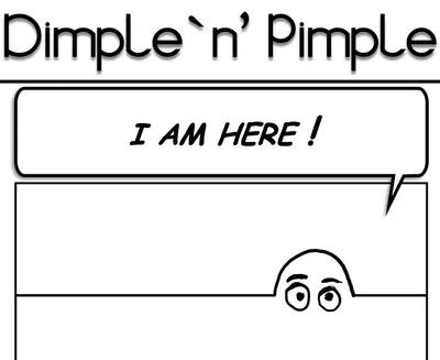 The Story of Dimple`n'Pimple series cover